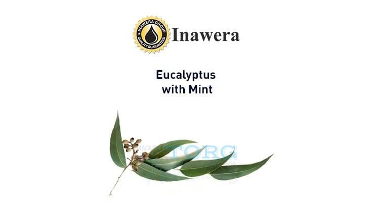 Ароматизатор Inawera Eucalyptus + Mint