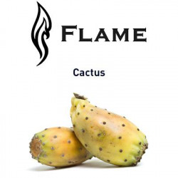 Cactus Flame