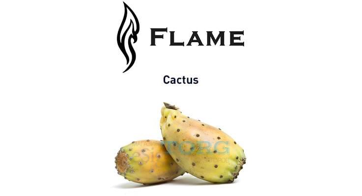 Ароматизатор Flame Cactus