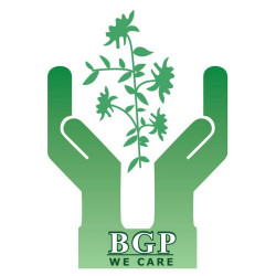 Сотка BGP