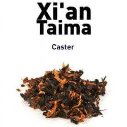 Caster Xian Taima