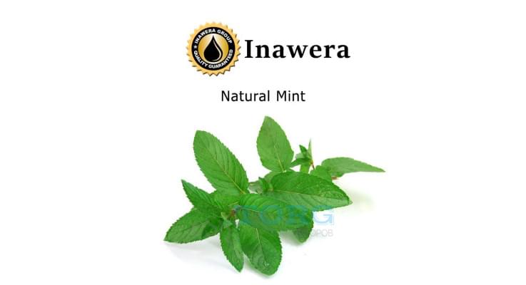 Ароматизатор Inawera Natural Mint