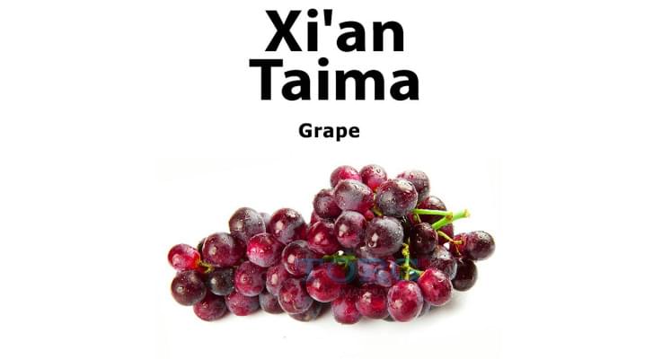 Ароматизатор Xi'an Taima Grape